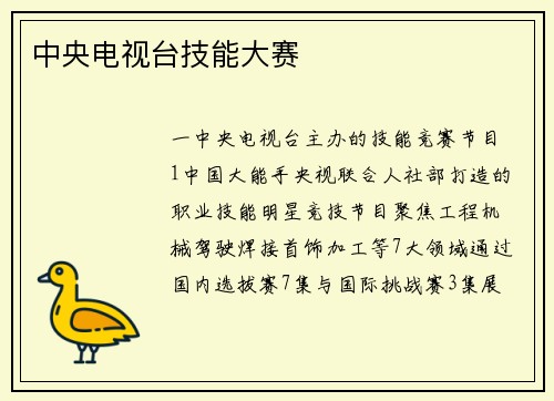 中央电视台技能大赛